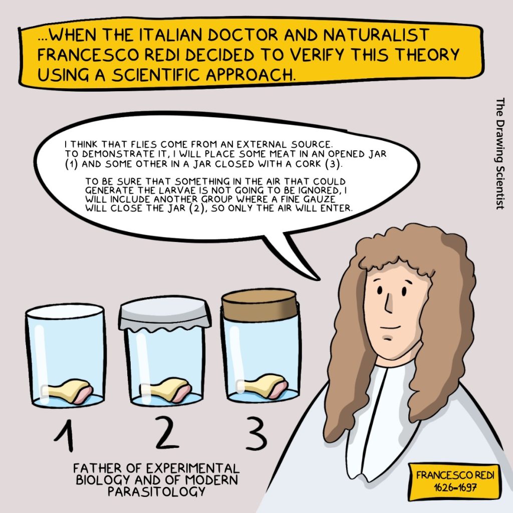 generazione spontanea 2 - Redi