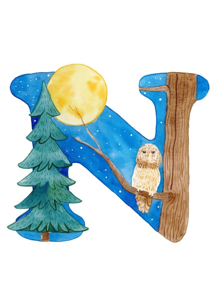 N - night