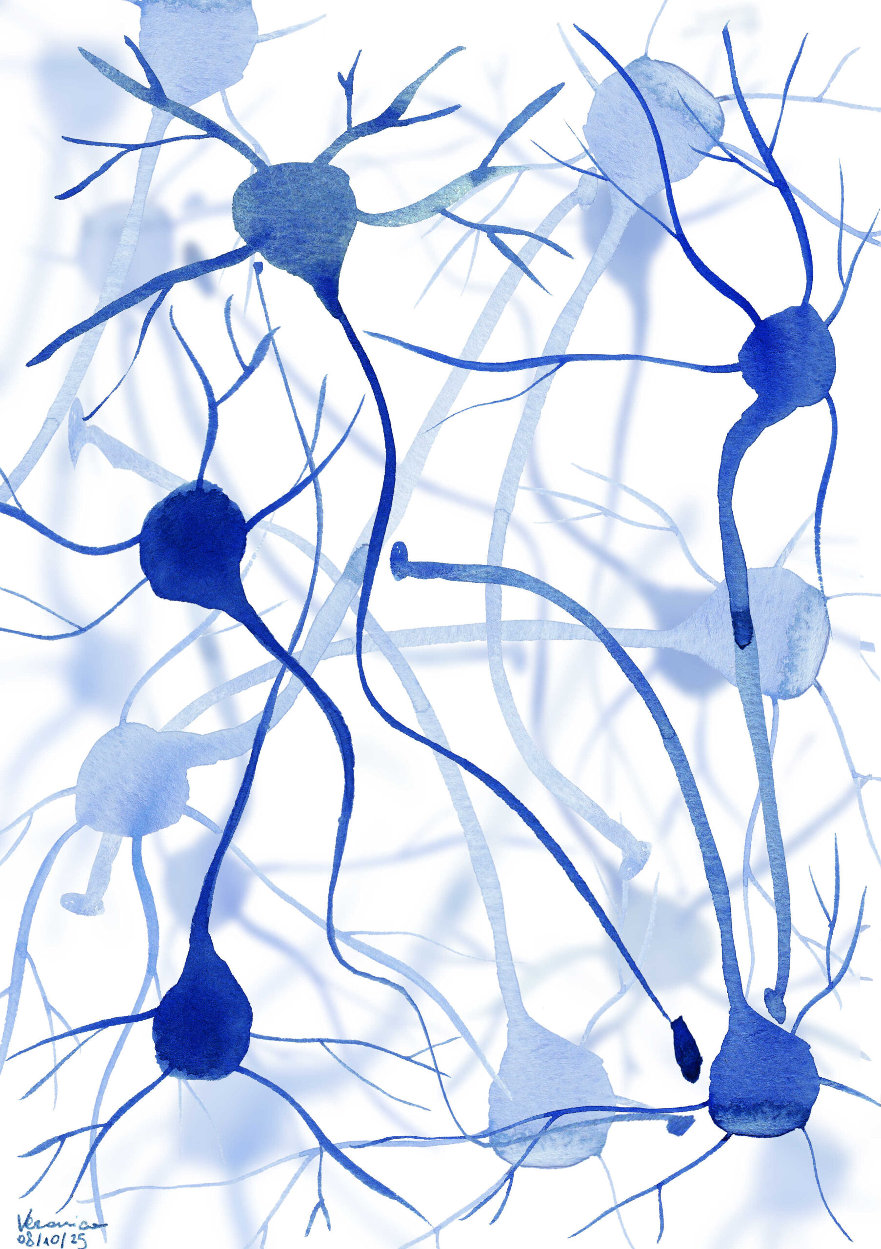 illustrazioni Isabelle Grosjean - neuroni