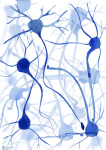 illustrazioni Isabelle Grosjean - neuroni