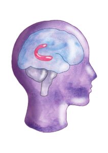neuroscience in watercolor 1