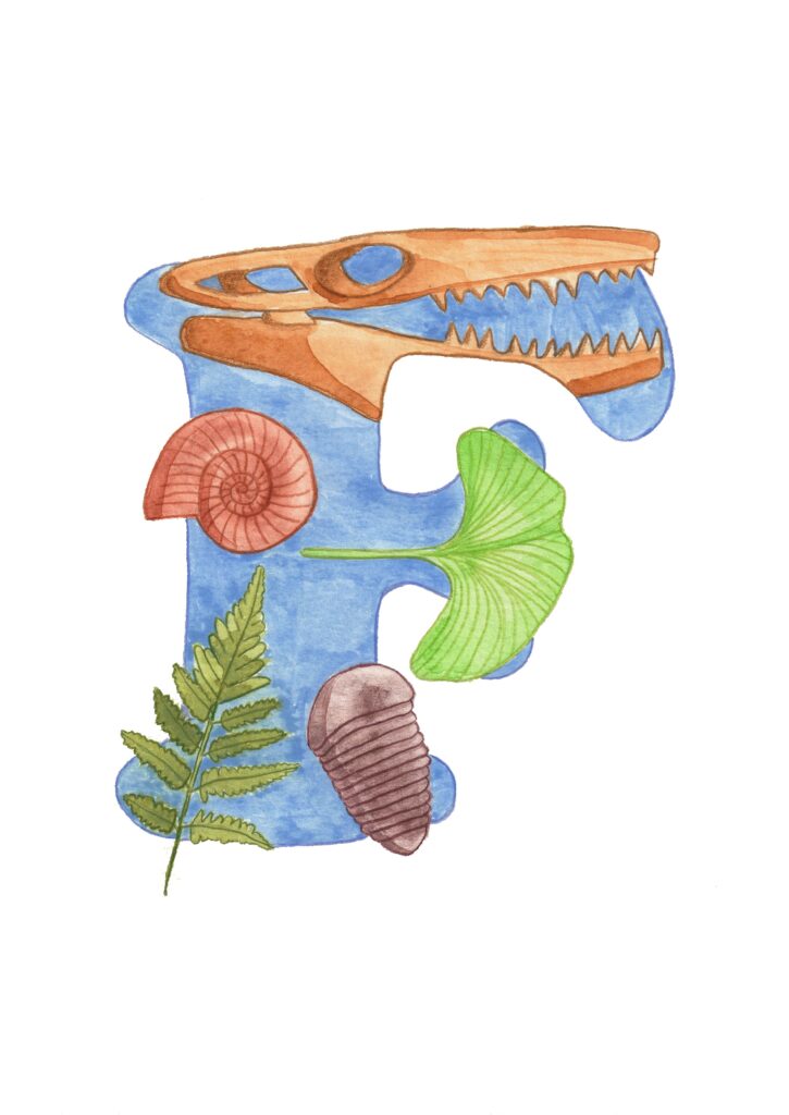 decorated letter F with extinct and living fossils