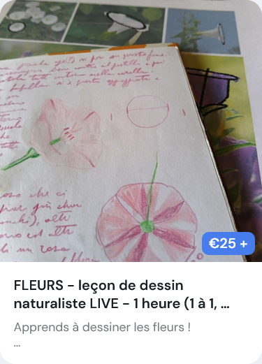 cours dessin naturaliste fleurs en ligne live avec Veronic La Padula, The Drawing Scientist