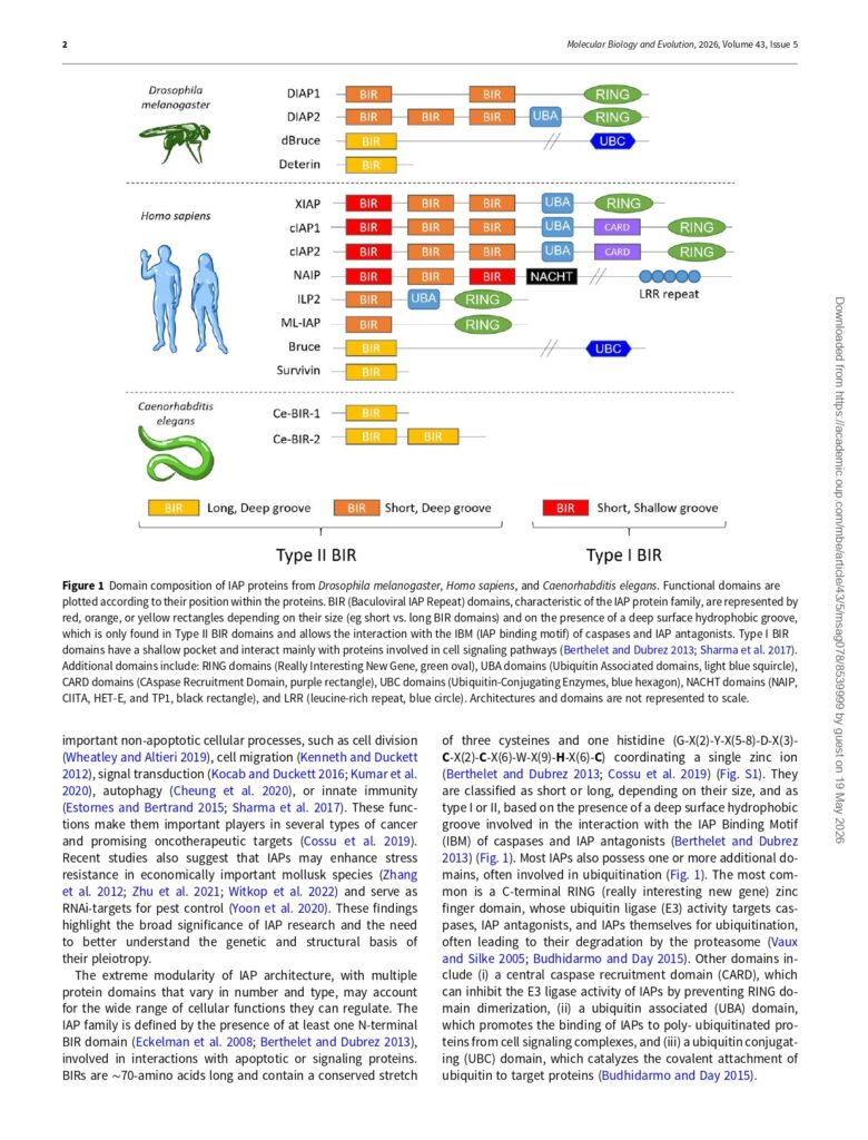 Ribeiro-Lopes-2026_page-0002