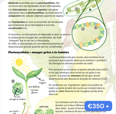 atelier aquarelle et science pour six à dix personnes en présentiel 2 heures et demie